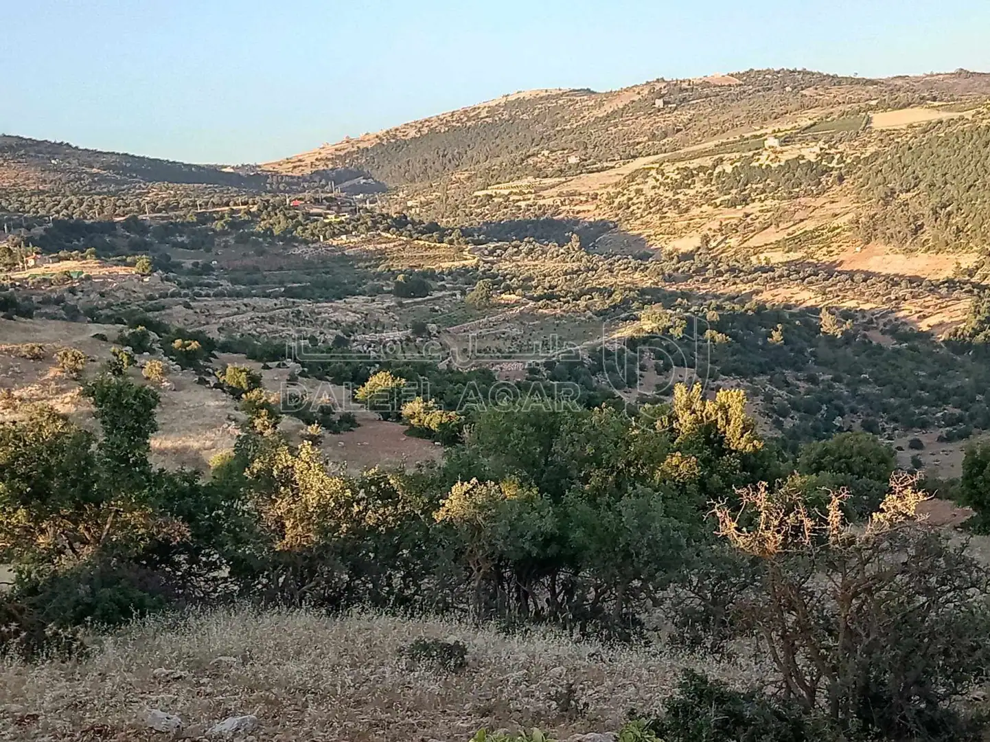 أرض في أرض مميزة للبيع في محافظة عجلون منطقة عنجرة - 40,000 دأ - صورة 1