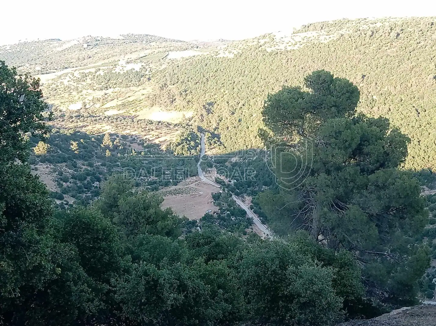 أرض في أرض مميزة للبيع في محافظة عجلون منطقة عنجرة - 40,000 دأ - صورة 1