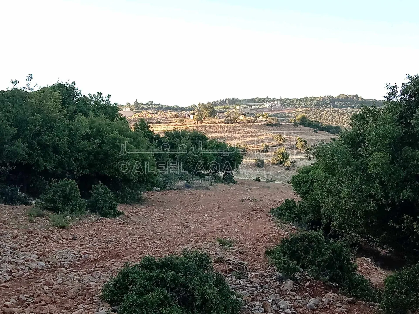 أرض في أرض مميزة للبيع في محافظة عجلون منطقة عنجرة - 40,000 دأ - صورة 1