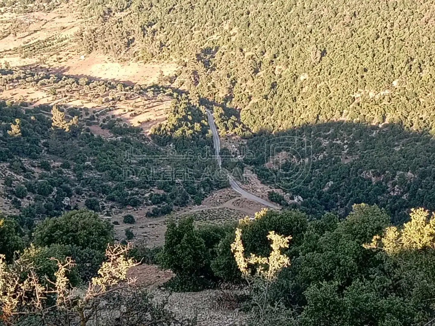 أرض في أرض مميزة للبيع في محافظة عجلون منطقة عنجرة - 40,000 دأ - صورة 1