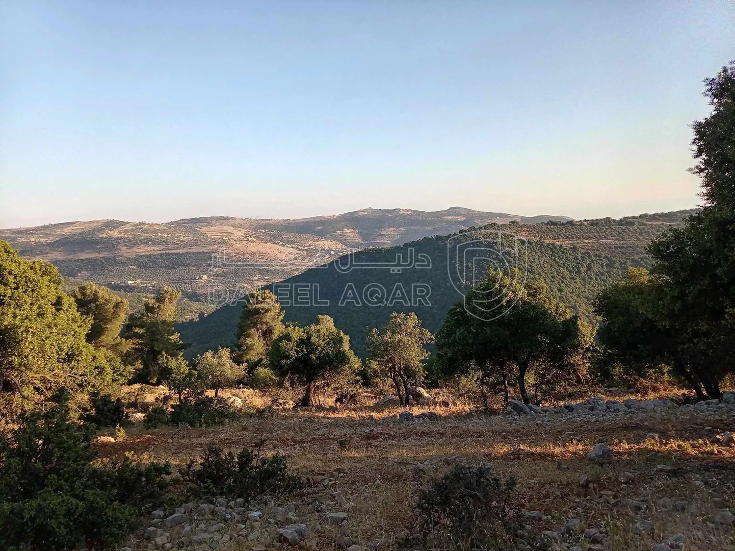 أرض في أرض مميزة للبيع في محافظة عجلون منطقة عنجرة - 40,000 دأ - صورة 1