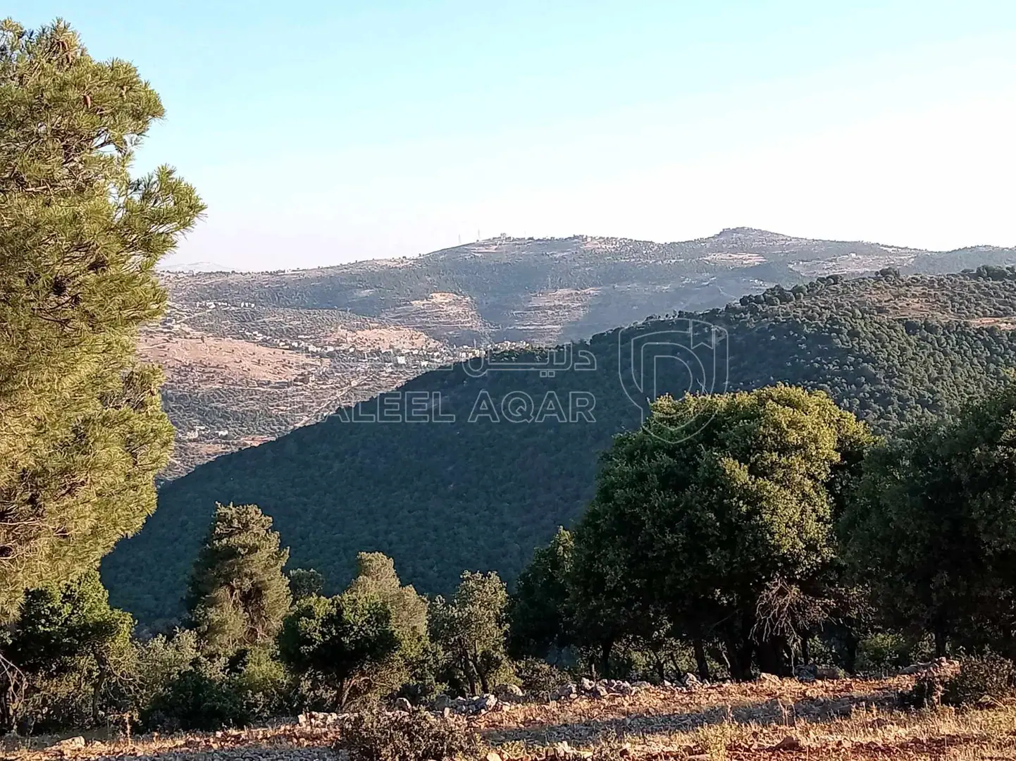 أرض في أرض مميزة للبيع في محافظة عجلون منطقة عنجرة - 40,000 دأ - صورة 1