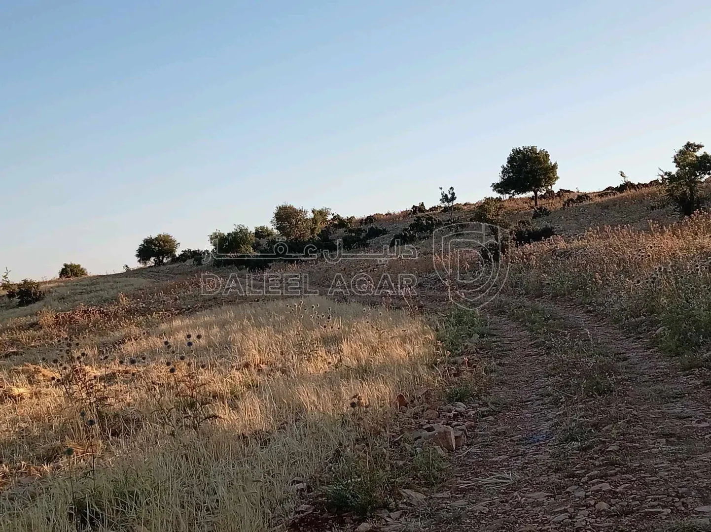أرض في أرض مميزة للبيع في محافظة عجلون منطقة عنجرة - 40,000 دأ - صورة 1
