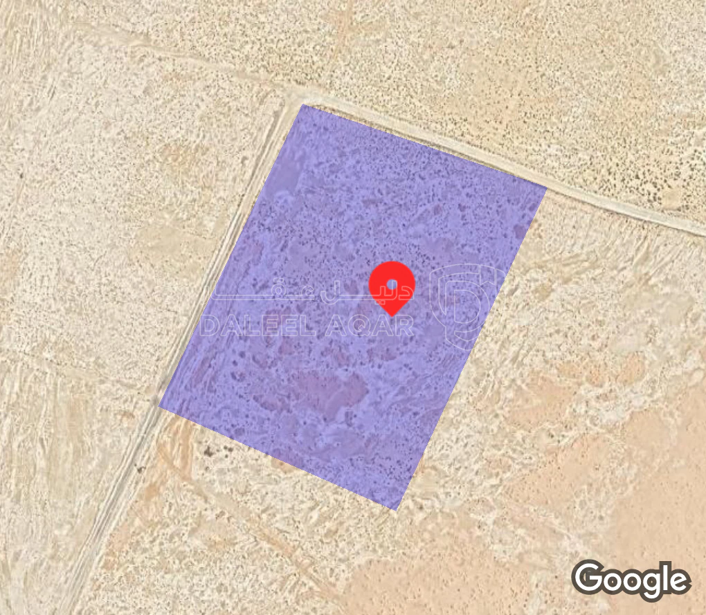 أرض في ارض في القويرة حوض19  مساحة 20 دونم - 200,000 دأ - صورة 1