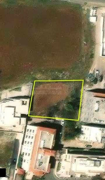 أرض في الظهير دخله مجمع ابو جاموس مباشره  - 550,000 دأ - صورة 1