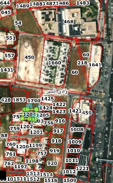 أرض في الظهير دخله مجمع ابو جاموس مباشره  - 550,000 دأ - صورة 1