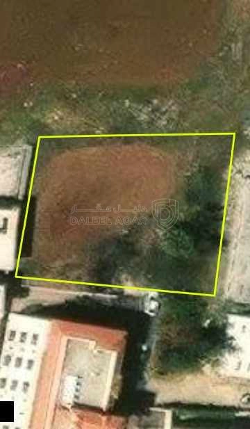 أرض في الظهير دخله مجمع ابو جاموس مباشره  - 550,000 دأ - صورة 1