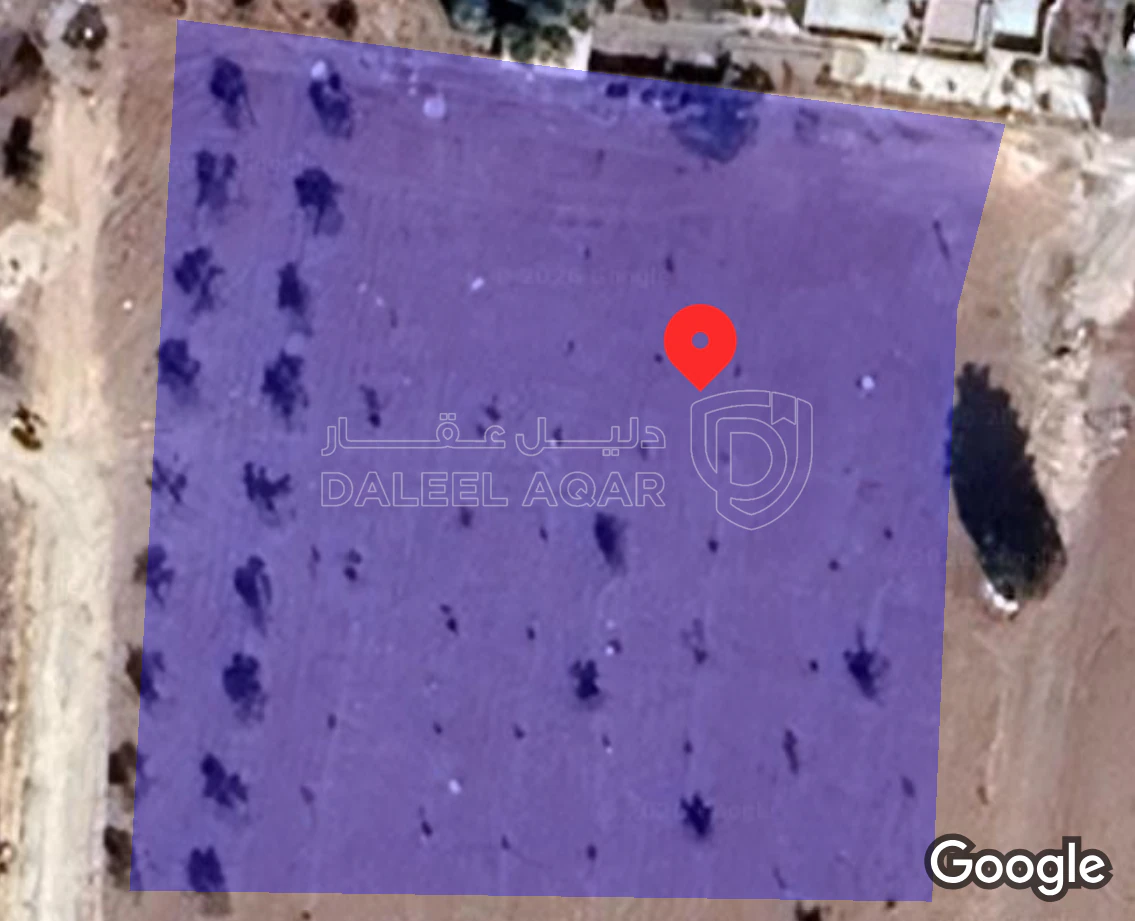 أرض في أرض للبيع الرمثا الضحضاح الشرقي  - 125,000 دأ - صورة 1