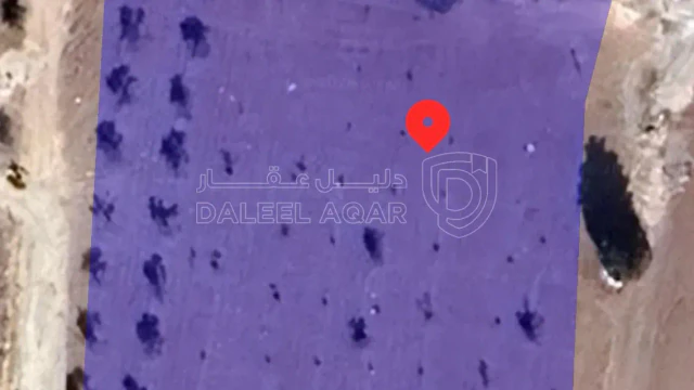 أرض في أرض للبيع الرمثا الضحضاح الشرقي  - 125,000 دأ - صورة 1