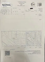 أرض في عمان البنيّات  - 100,000 دأ - صورة NaN