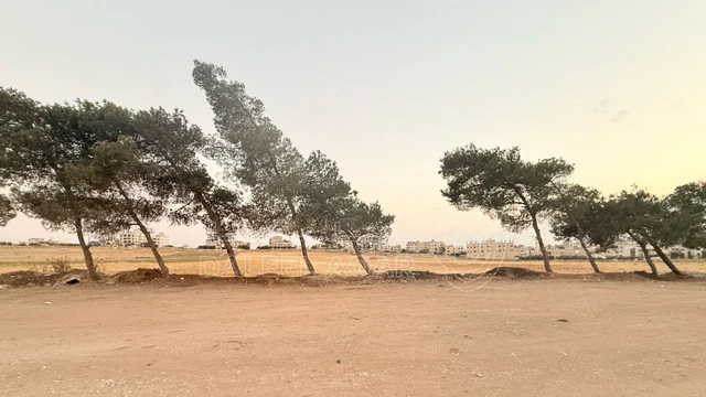 أرض - أرض تجارية للبيع على شارع مادبا الرئيسي - 978 م² - 342300 دأ