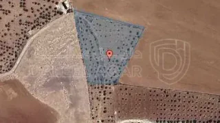 أرض في مادبا - الفيصلية  - 119,000 دأ - صورة 1