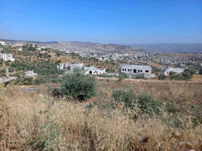 أرض في دير اليات - 25,500 دأ - صورة NaN