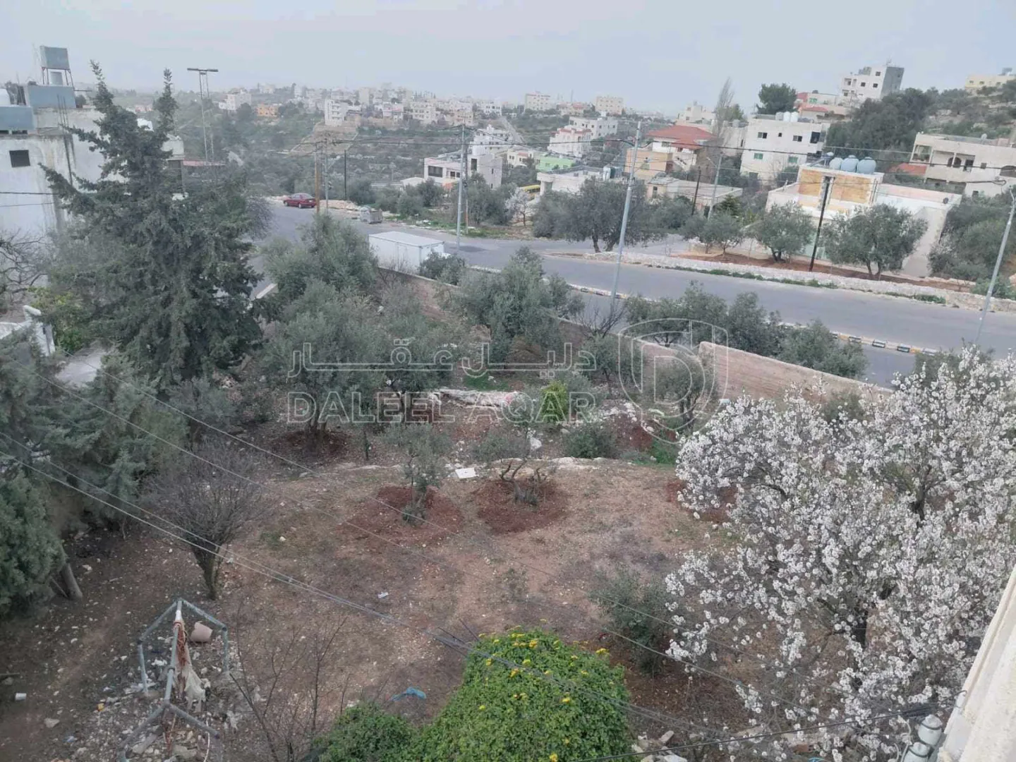 فيلا/منزل في السلط - سوادا - 300,000 دأ - صورة 1