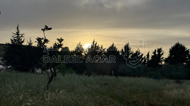 أرض في بلعاس - يبعد 6 دقائق عن طريق المطار - 175,000 دأ - صورة 1