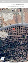 أرض - ارض مميزه للبيع في بدر الجديده  - 250000 دأ