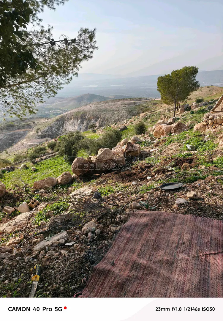 أرض في اربد . لواء الكوره .ارخيم فوق سد زقلاب - 30,000 دأ - صورة 1