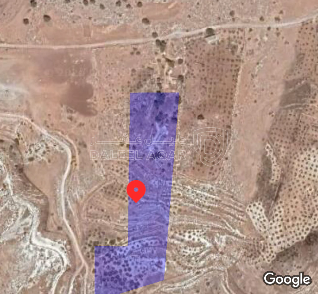 أرض في اربد . لواء الكوره .ارخيم فوق سد زقلاب - 30,000 دأ - صورة 1