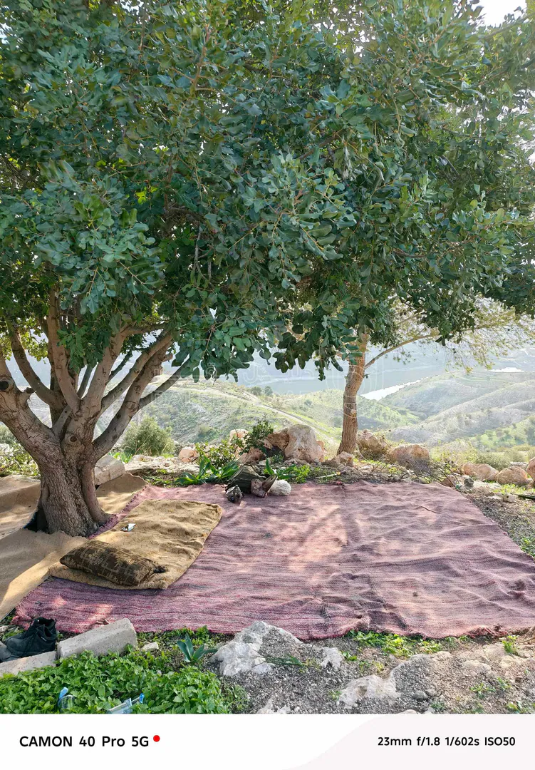 أرض في اربد . لواء الكوره .ارخيم فوق سد زقلاب - 30,000 دأ - صورة 1