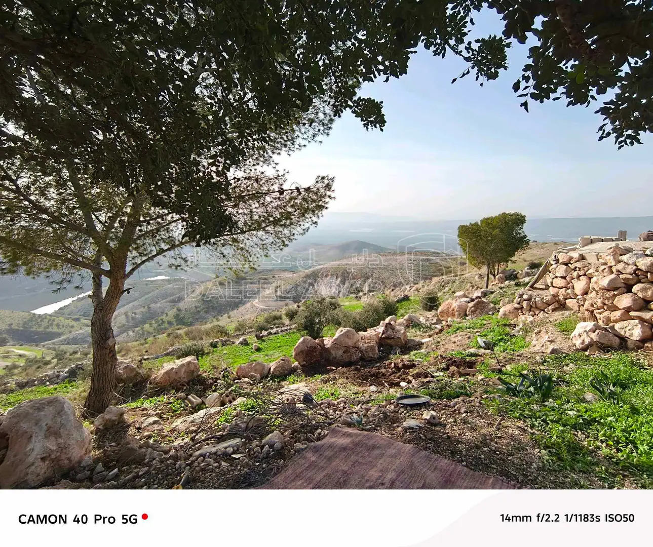 أرض في اربد . لواء الكوره .ارخيم فوق سد زقلاب - 30,000 دأ - صورة 1