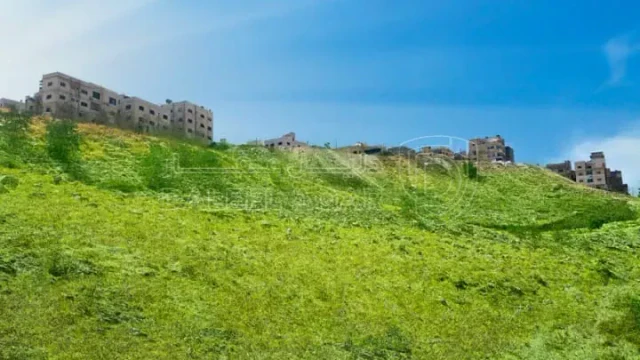 أرض - عمان - النويجيس - 75300 دأ