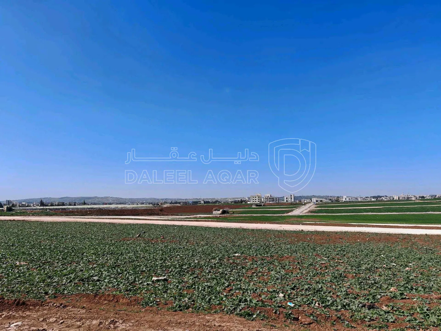 أرض في قرب مسجد نايفة، مقابل بوابة مدينة الشهد 3 - 66,000 دأ - صورة 1