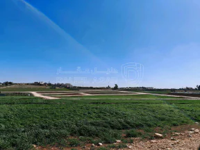 أرض في قرب مسجد نايفة، مقابل بوابة مدينة الشهد 3 - 66,000 دأ - صورة NaN