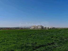 أرض - قرب مسجد نايفة، مقابل بوابة مدينة الشهد 3 - 66000 دأ