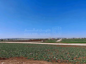 أرض في قرب مسجد نايفة، مقابل بوابة مدينة الشهد 3 - 66,000 دأ - صورة NaN