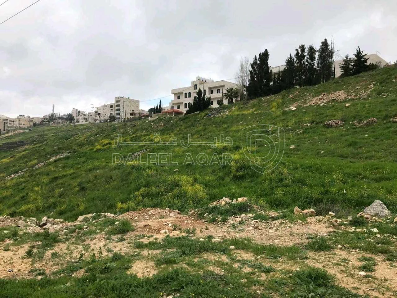 أرض في السلط السرو حوض البشيري - 160,000 دأ - صورة 1