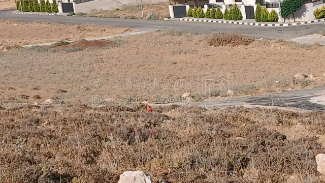 أرض - عمان تحت شارع الاردن  بجانب إسكان  يثرب - 77000 دأ