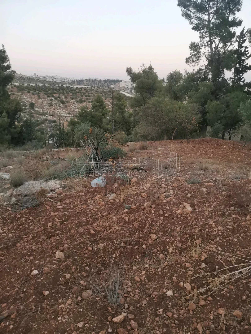 أرض في عمان النعير - 180,000 دأ - صورة 1