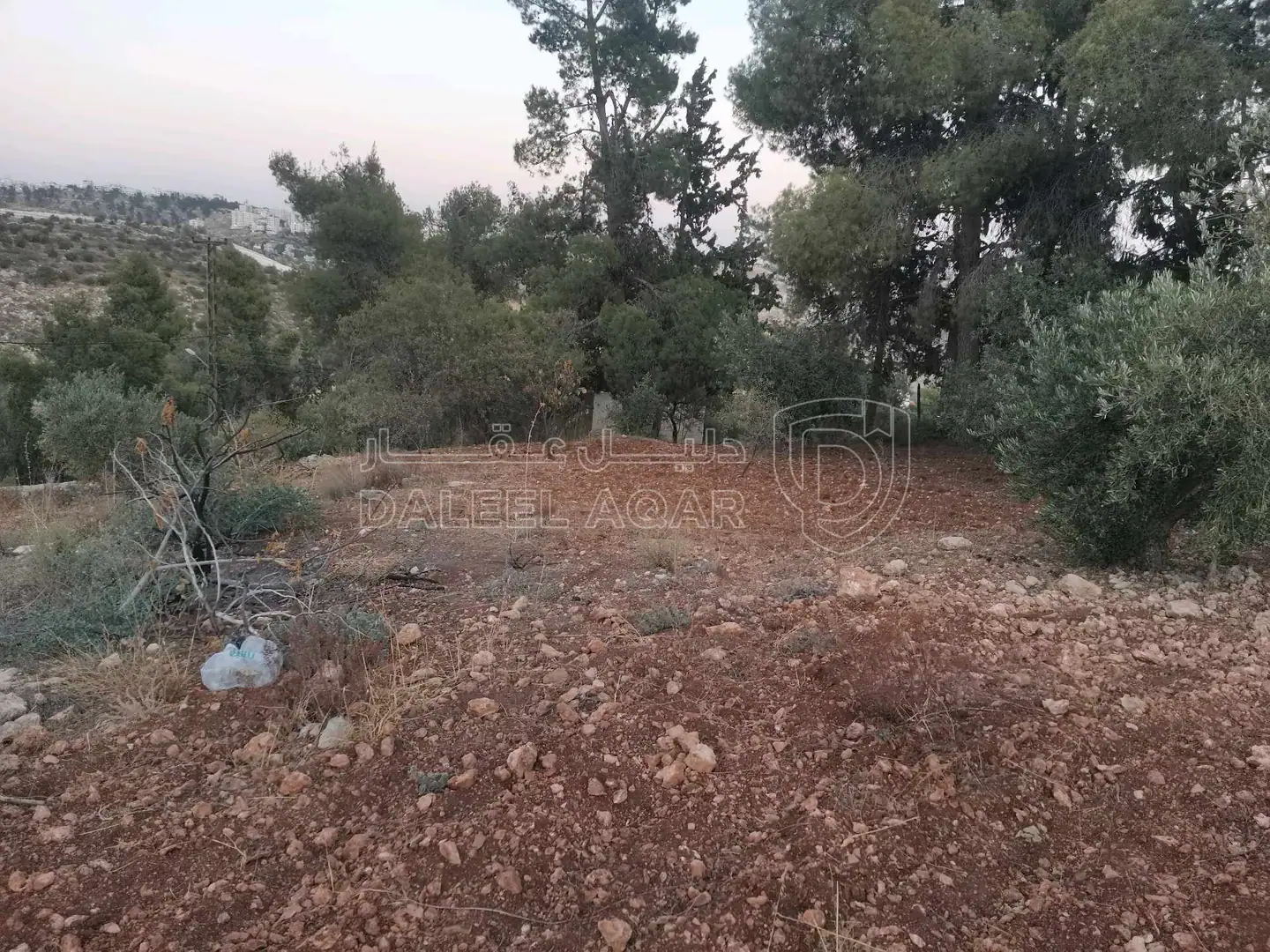 أرض في عمان النعير - 180,000 دأ - صورة 1