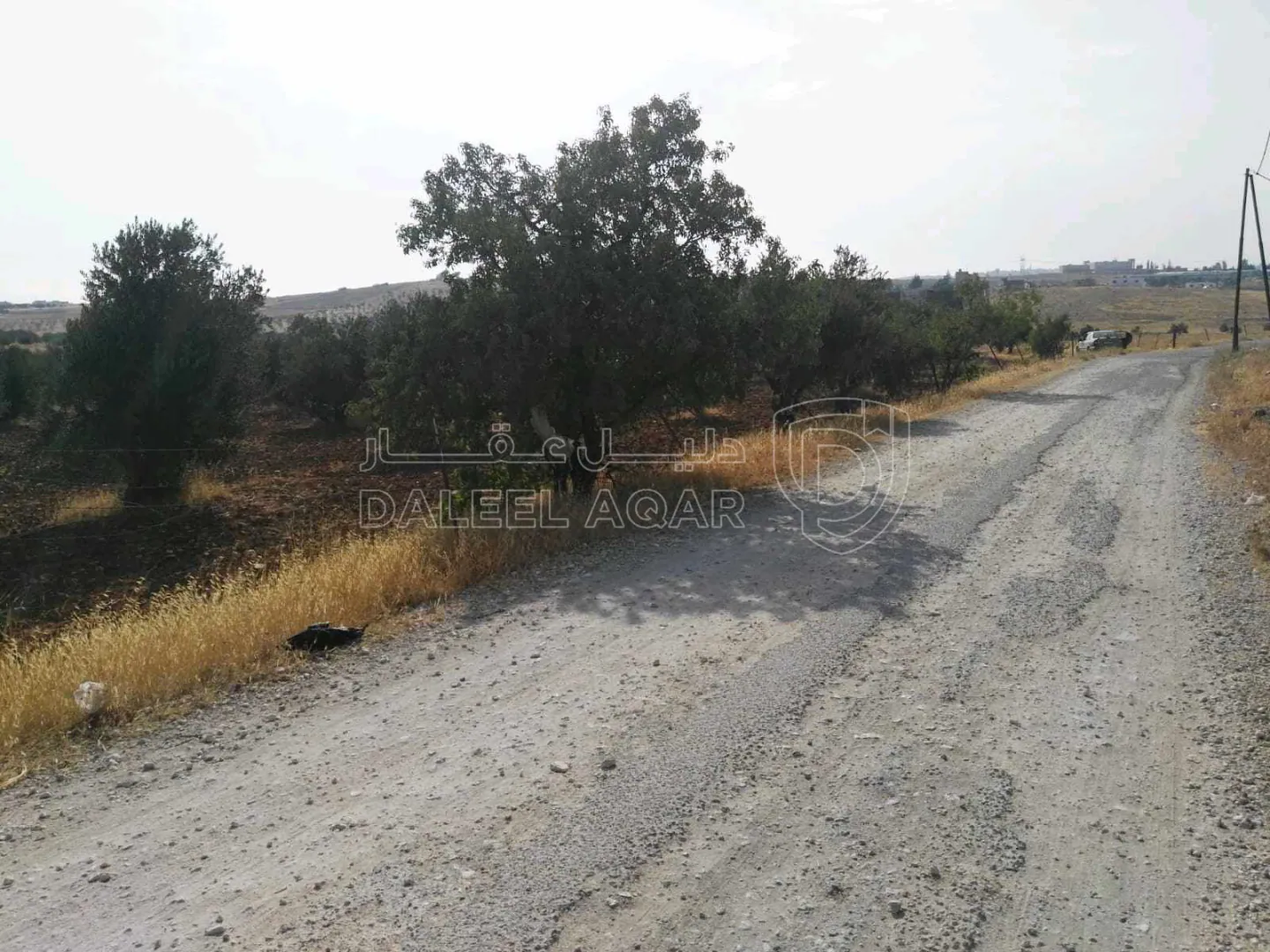 أرض في المفرق/البويضة /المرج قرب جسر الشيخ مكازي  - 56,000 دأ - صورة 1