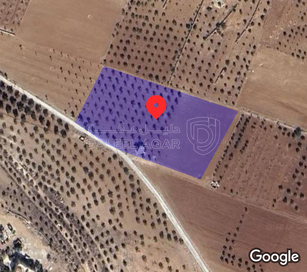 أرض في المفرق/البويضة /المرج قرب جسر الشيخ مكازي  - 56,000 دأ - صورة 1