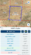 أرض - الزرقاء شومر طريق بيرين - 21000 دأ