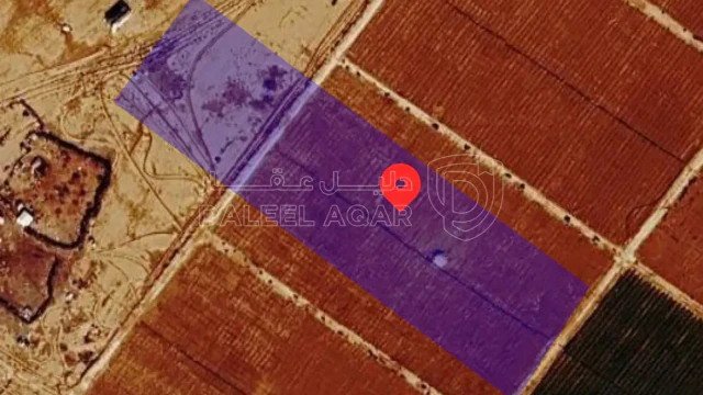 أرض - الحصينيات قريبة من قرية الزعتري باتجاه الجامعة - 40000 دأ