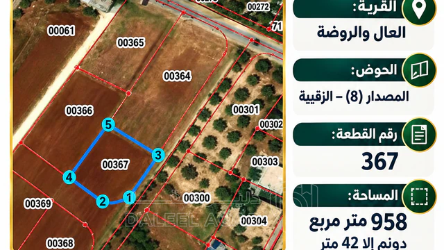 أرض في عمان /ناعور/ الروضة - 67,000 دأ - صورة NaN