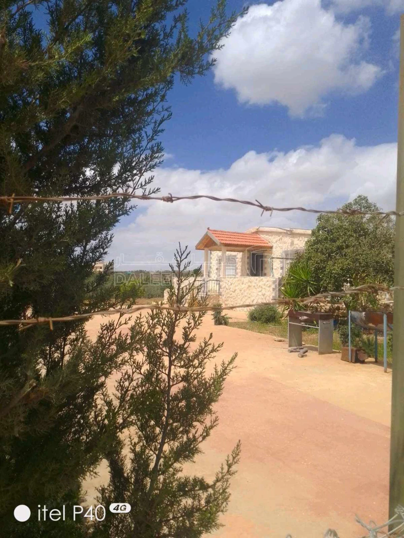 مزرعة/شاليه في مزرعتين للبيع مزروع - 90,000 دأ - صورة 1