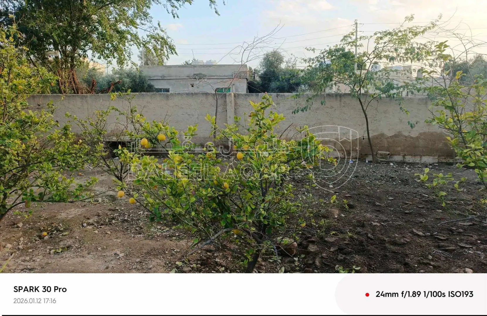 أرض في ارض نمرتين قوشان مستقل للبيع بسعر مغري  - 18,000 دأ - صورة 1