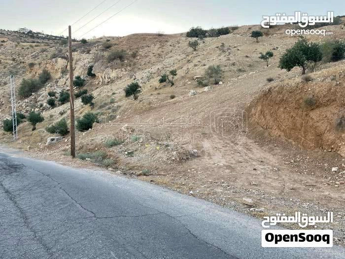 أرض في منطقة تركي – التابعة لمناطق زبود وسيل حسبان. - 35,000 دأ - صورة 1