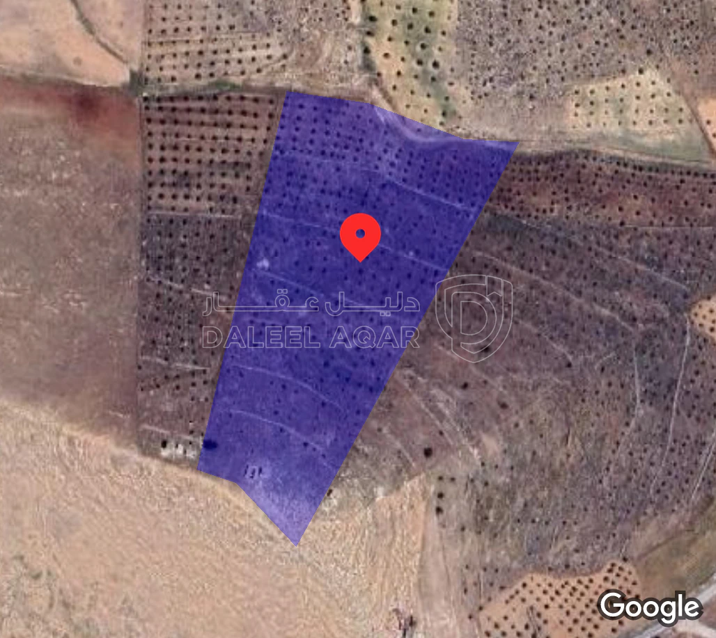 أرض في المفرق بلعما الزنيه  - 117,000 دأ - صورة 1