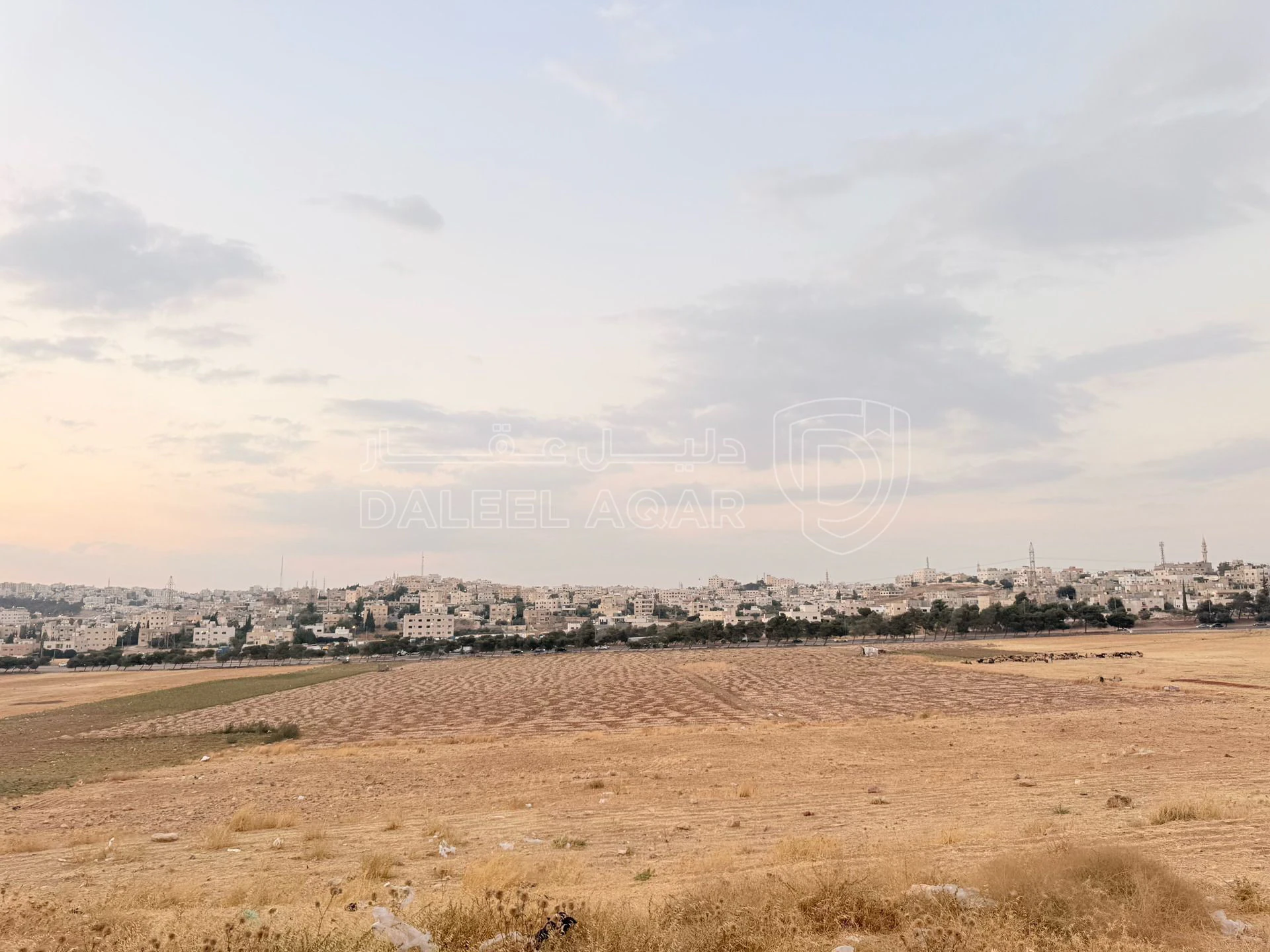 أرض في أرض سكنية للبيع في الجويدة – تنظيم سكن ب – 764 م² - 106,960 دأ - صورة 1