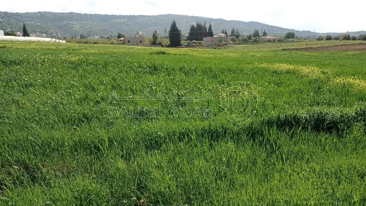 أرض في السلط  بيوضة الشرقية  - 75,000 دأ - صورة 1
