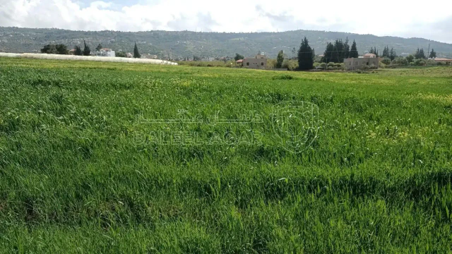أرض - السلط  بيوضة الشرقية  - 75000 دأ