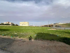أرض في الكرك الثنيه مقابل كلية المجتمع - 160,000 دأ - صورة NaN