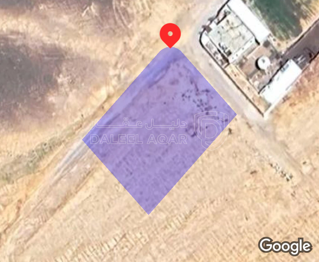 أرض في معان - سطح معان - تبعد عن الخط الصحراوي 700 متر - 20,000 دأ - صورة 1
