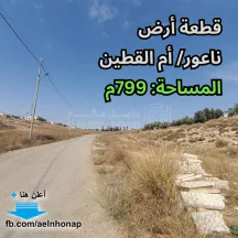 أرض - ناعور/ أم القطين - تبعد 300م عن مركز صحي أم القطين - 61000 دأ
