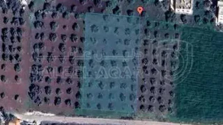 أرض في اربد سوم الشناق - 100,000 دأ - صورة NaN