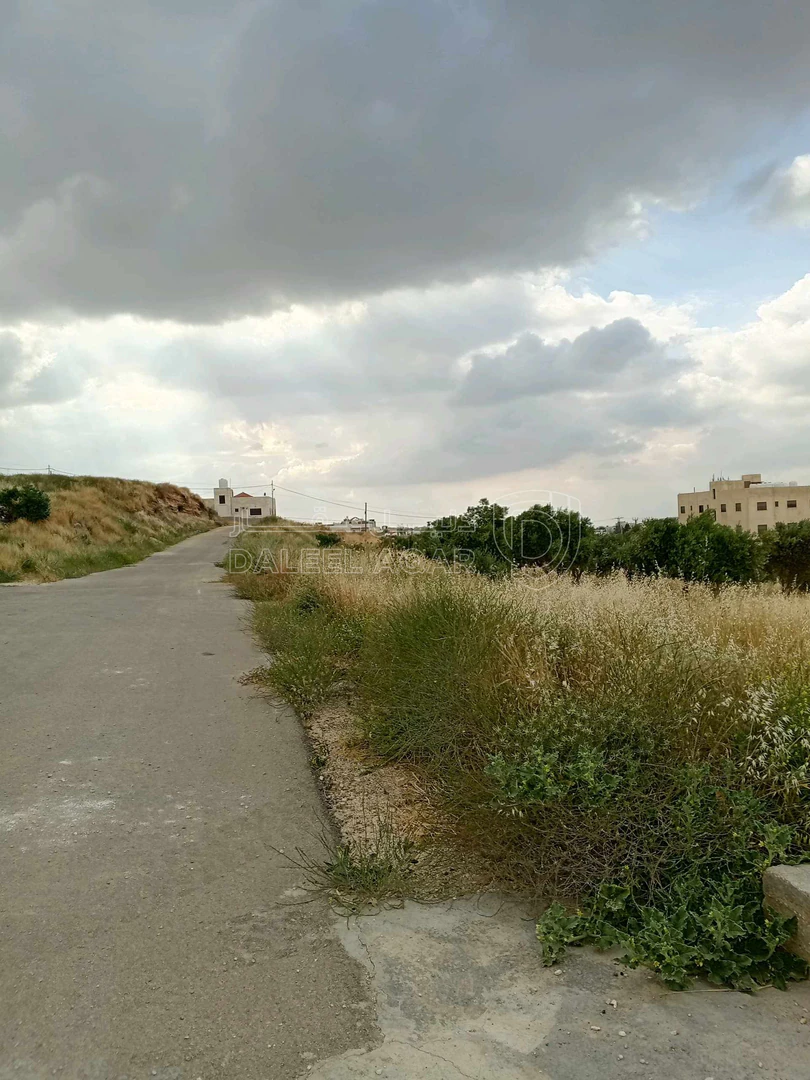 أرض في العال والروضه حوض قرب إشارة العال  - 68,500 دأ - صورة 1
